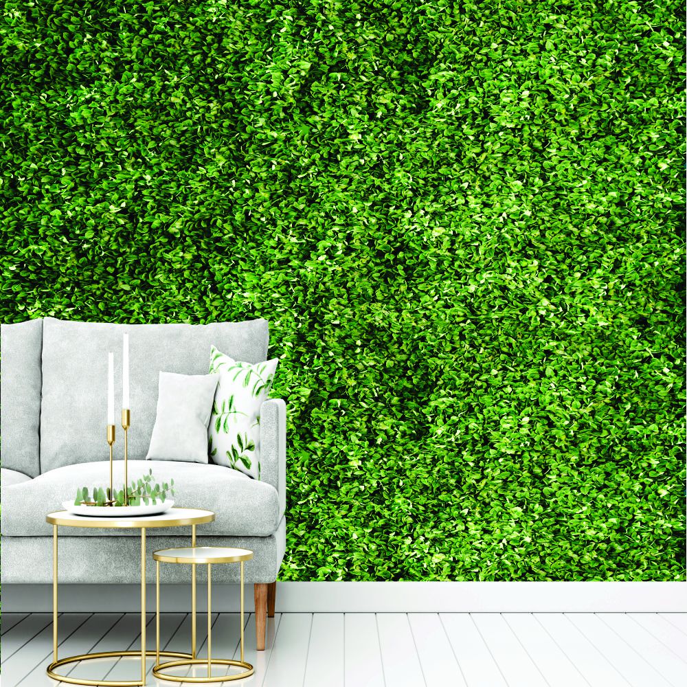 Pisos Laminados | Papel de parede