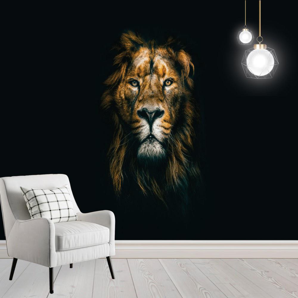 Pisos Laminados | Papel de parede