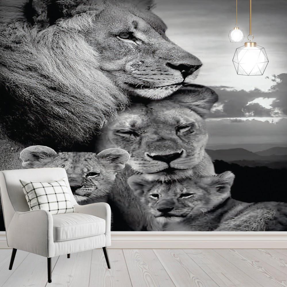 Pisos Laminados | Papel de parede